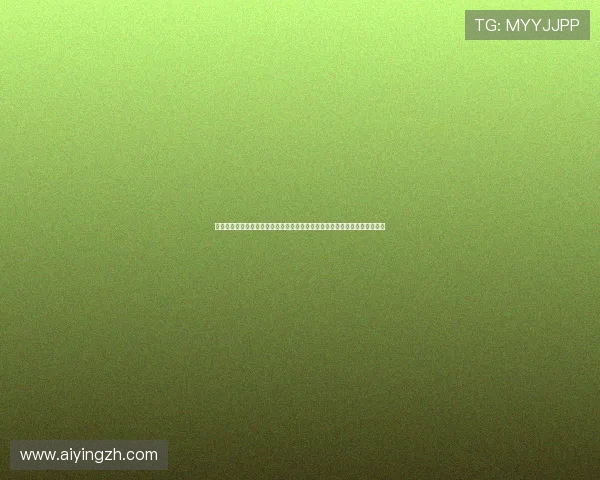 埃及与伊朗在世界杯最新比赛中比分情况一览，详细分析双方表现与赛场动态